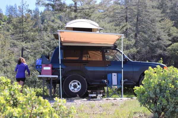 Side awning 79" - Image 3